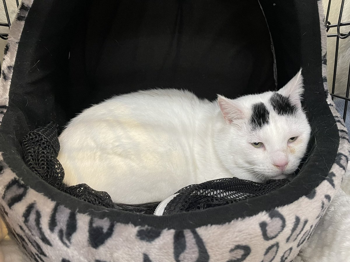 みにゃさん おつかれ