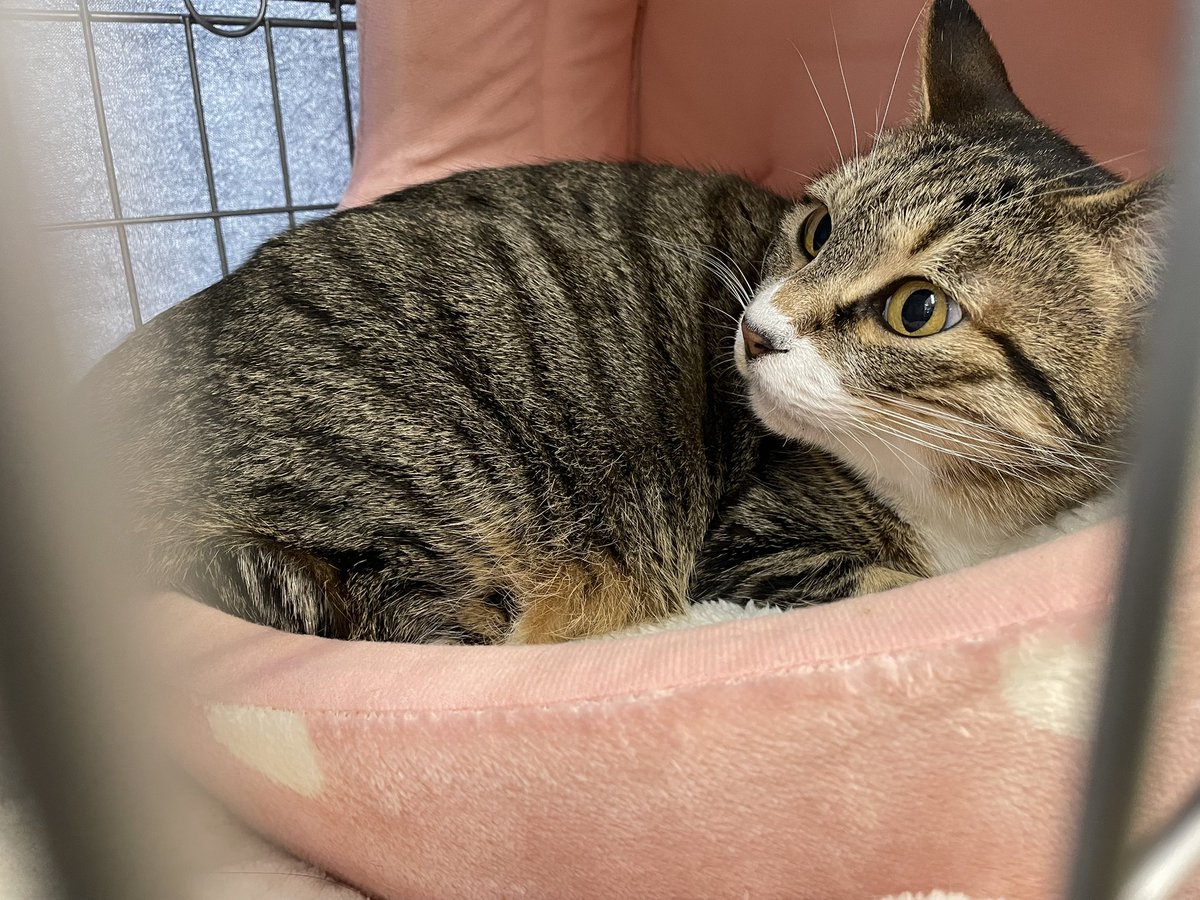 みにゃさん おつかれ