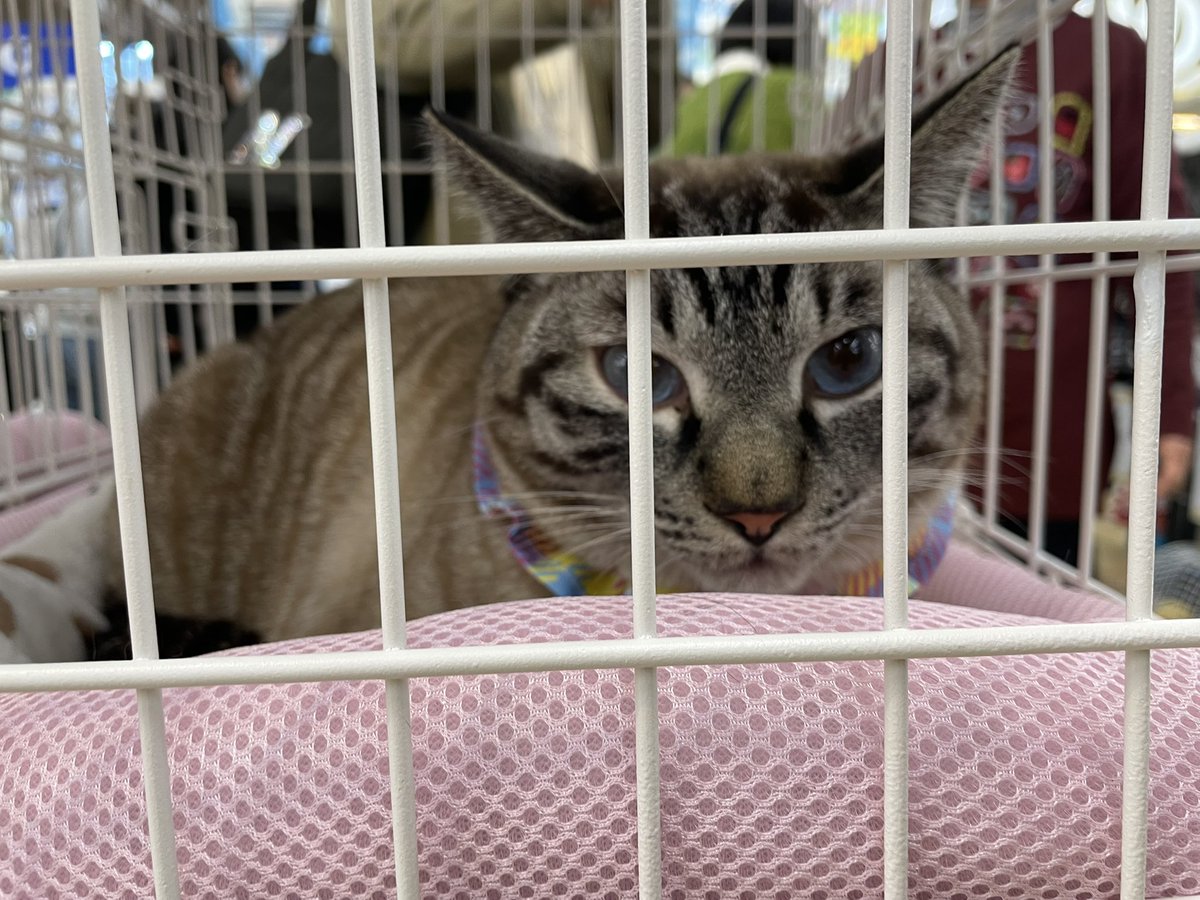 みにゃさん おつかれ