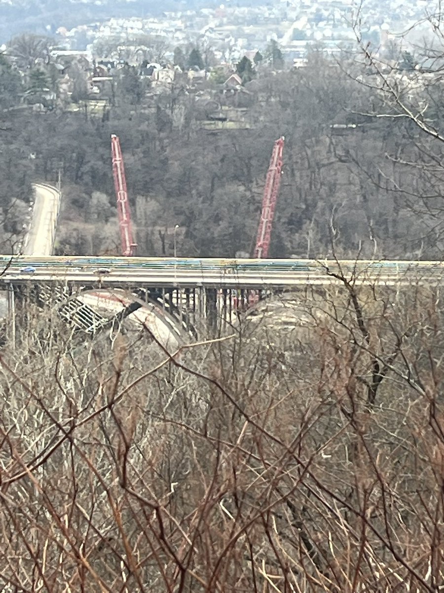 rock and roll photos tweet media