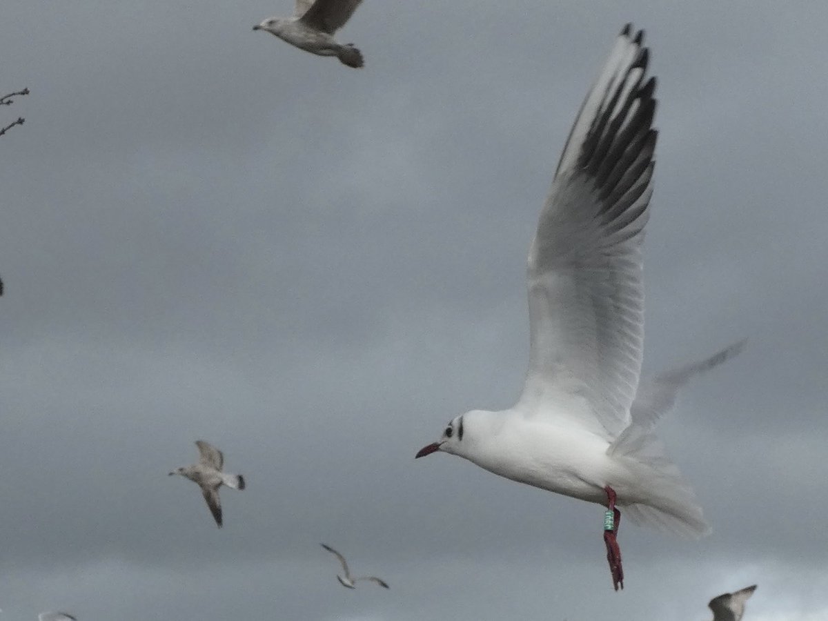 allthingsmothy tweet media