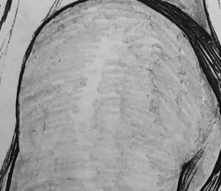 Kevin Guimarães tweet media