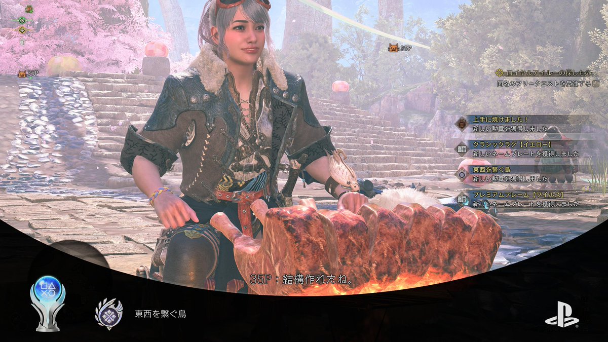 pentaccus_game's tweet photo. プラチナトロフィー103個目！
「モンスターハンターワイルズ」をトロコン🏆

久々のトロコン！！
ボリュームはいつもと比べて少ない気がしたけどやっぱりモンハンは最高です！
金冠集めの双眼鏡にはとてもお世話になりました🙇‍♂️

トロコンまで約94h！

#PlayStationTrophy
#PS5Share https://t.co/cD87eXF87k