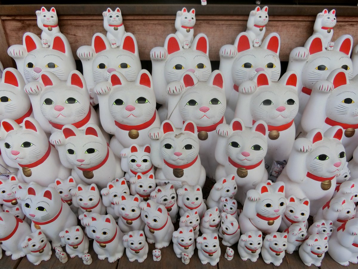 yoyokade's tweet photo. 2月22日は「猫の日」🐱
#猫の日
#豪徳寺 https://t.co/xhRZDVxhKl