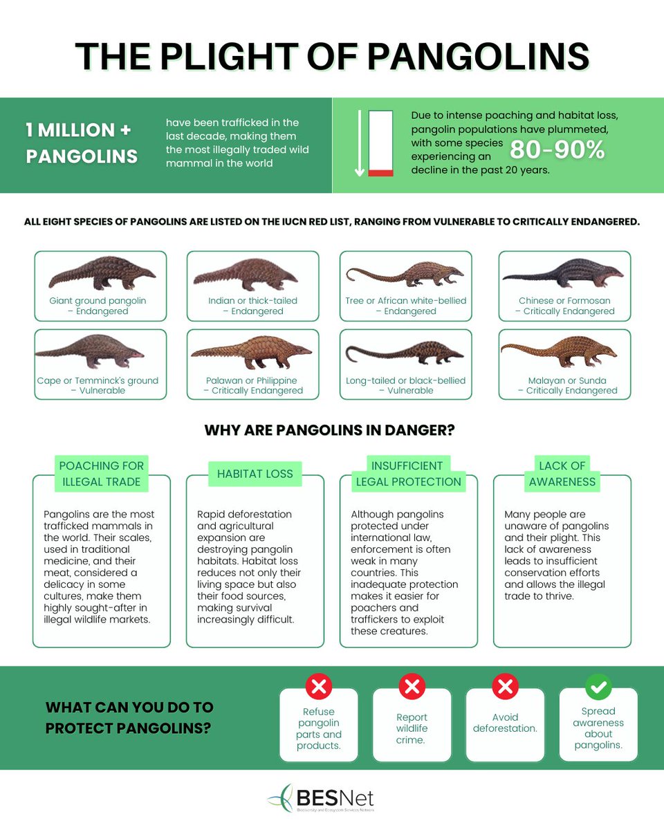 BES-Net (Biodiversity and Ecosystems Network) tweet media