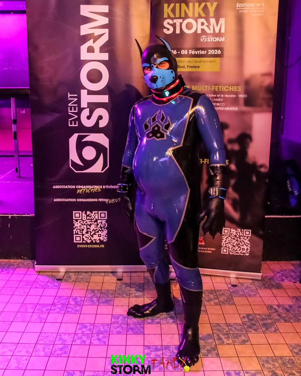 Pup Marcelo tweet media