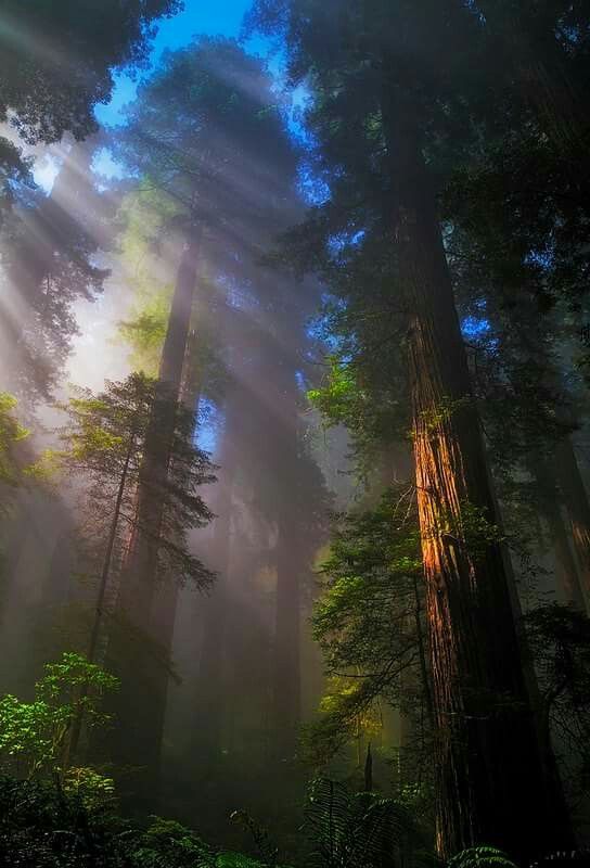 W a v e s (@thewavesx) on Twitter photo 