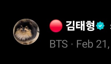 violmemory's tweet image. This is Everything 🩶🥹