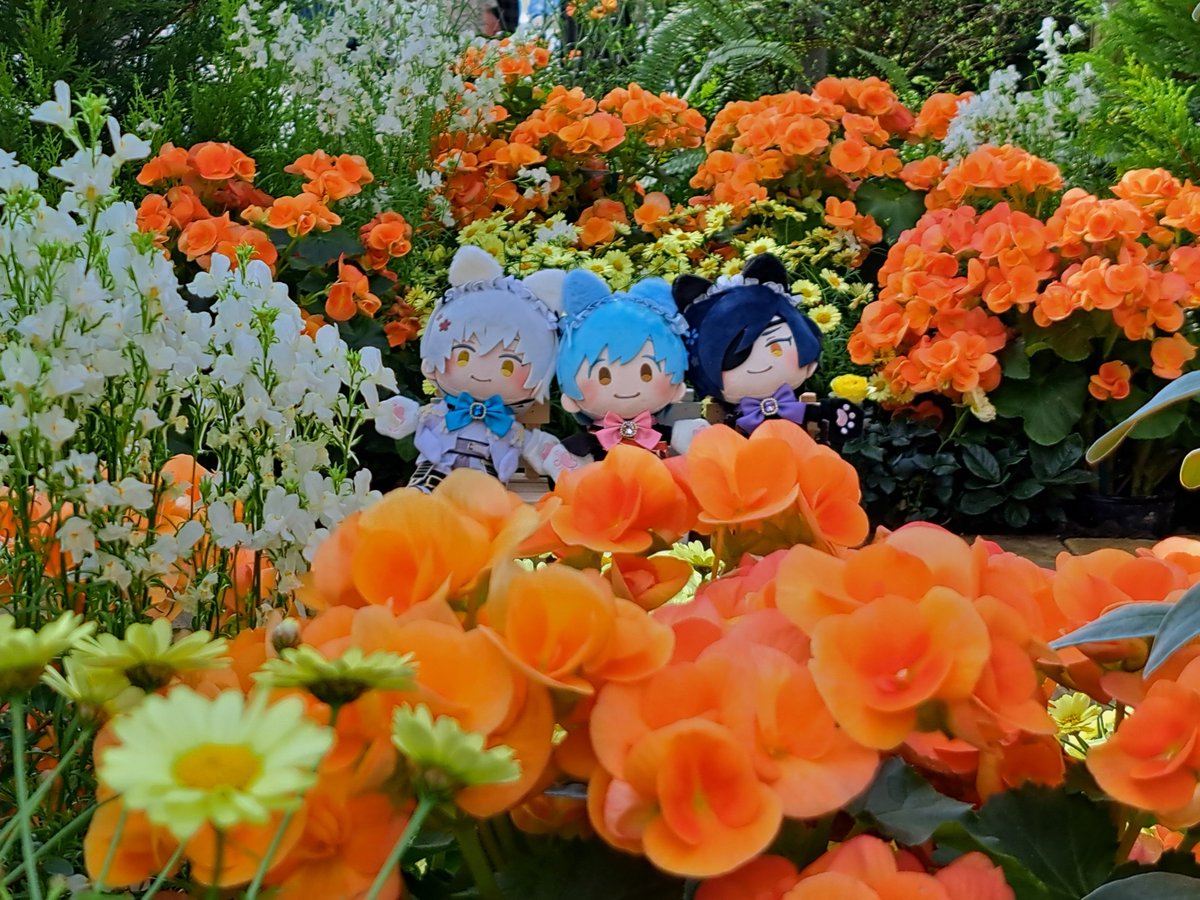 猫の日！🐱

にゃん🦢にゃん🍓にゃん🕯️🐾