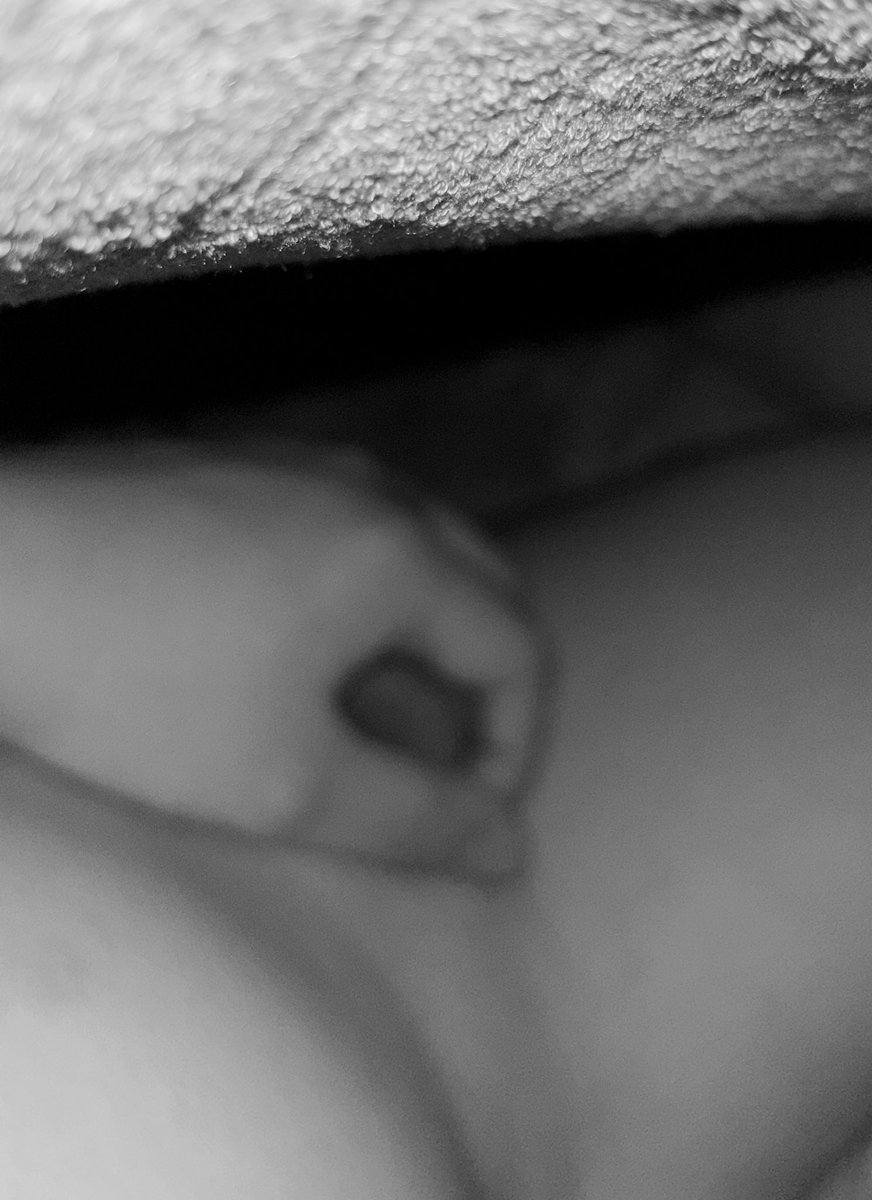 Somber06's tweet photo. 今���这大风让人觉得孤独确实是一种惩罚，如果有喜欢的人靠在一起，哪怕什么都不说。 https://t.co/3vmnexVk2K