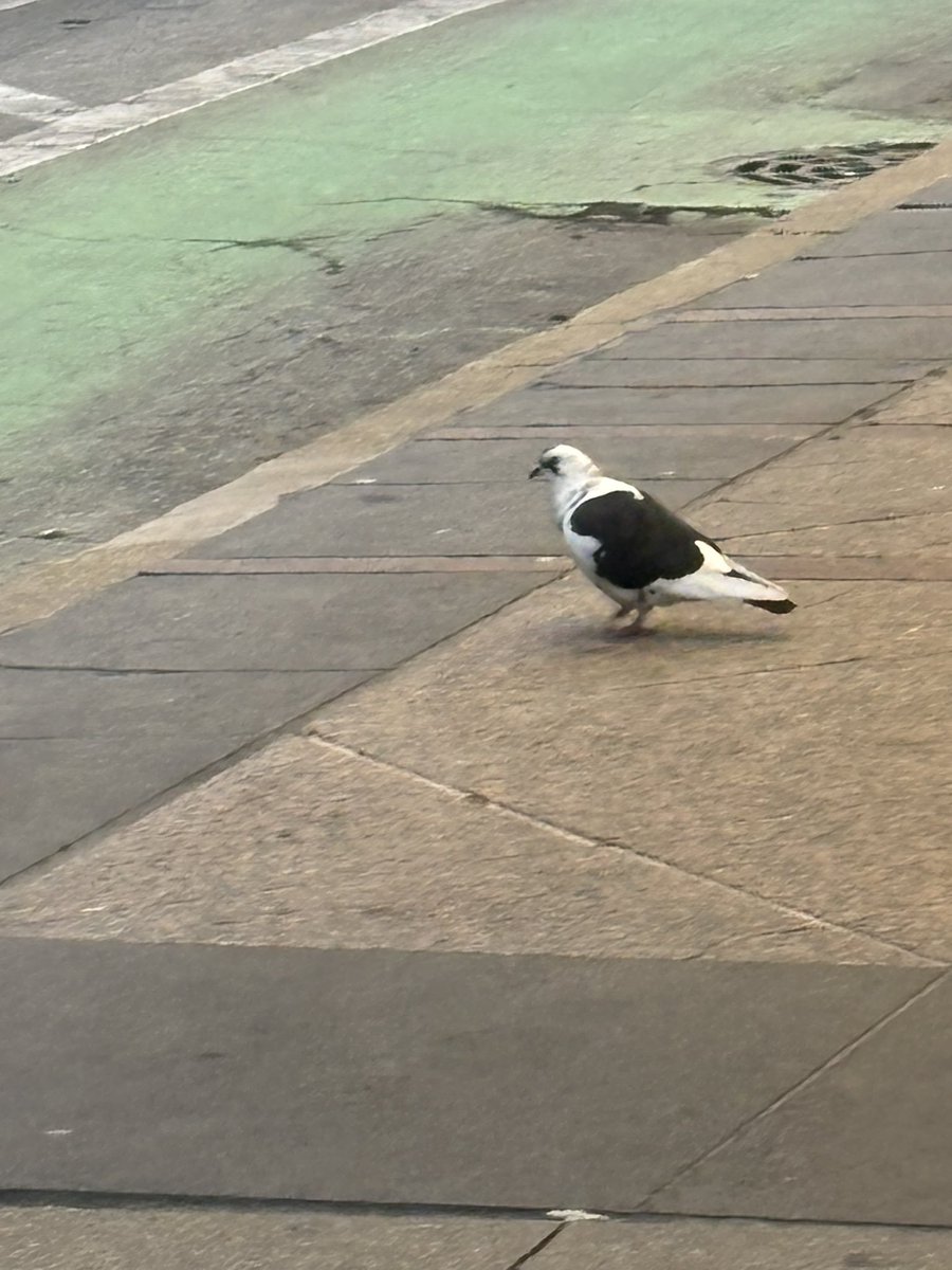 Jay☃️ tweet media