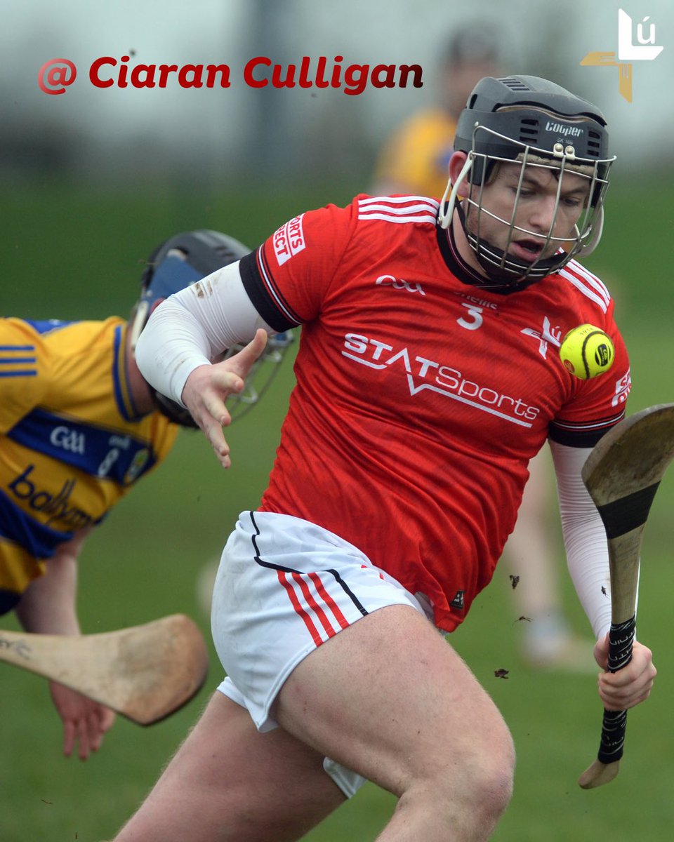 Louth GAA tweet media