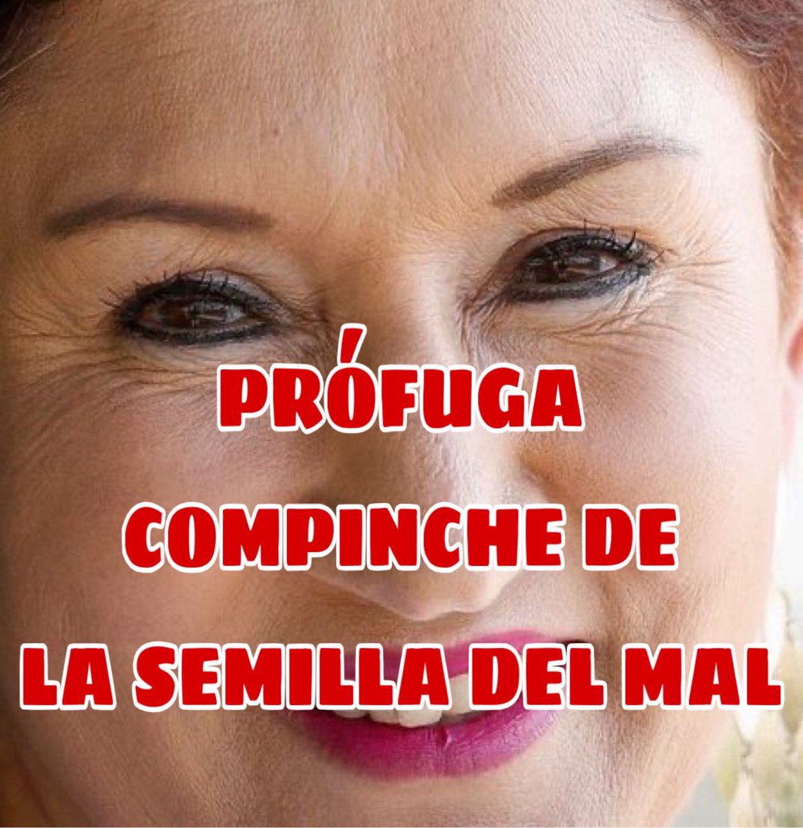 justicierapeli1's tweet photo. PRONTO CAERÁN TODOS ESTOS DELINCUENTES!!!
#Prófuga 
#SemillaDelMal 
#Descarada https://t.co/J2IKM4J29n