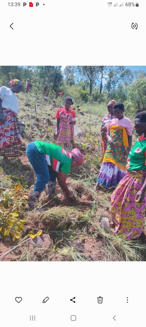 CnddFddButanyer's tweet image. #Busoni  kuwa 20/2/2026, Uwuhagarariye umuhari w'Abakenyererarugamba muri Komine #Busoni #Hon_NISHIMWE_Benigne*  yifadikanije nabo kumutumba #COGA mukurimirira amavoka no gushirako umwavu mu gitara cabo. Kuri Zone Shore kingana na 1,5ha, bamaze gutera 1038.
@CnddFdd