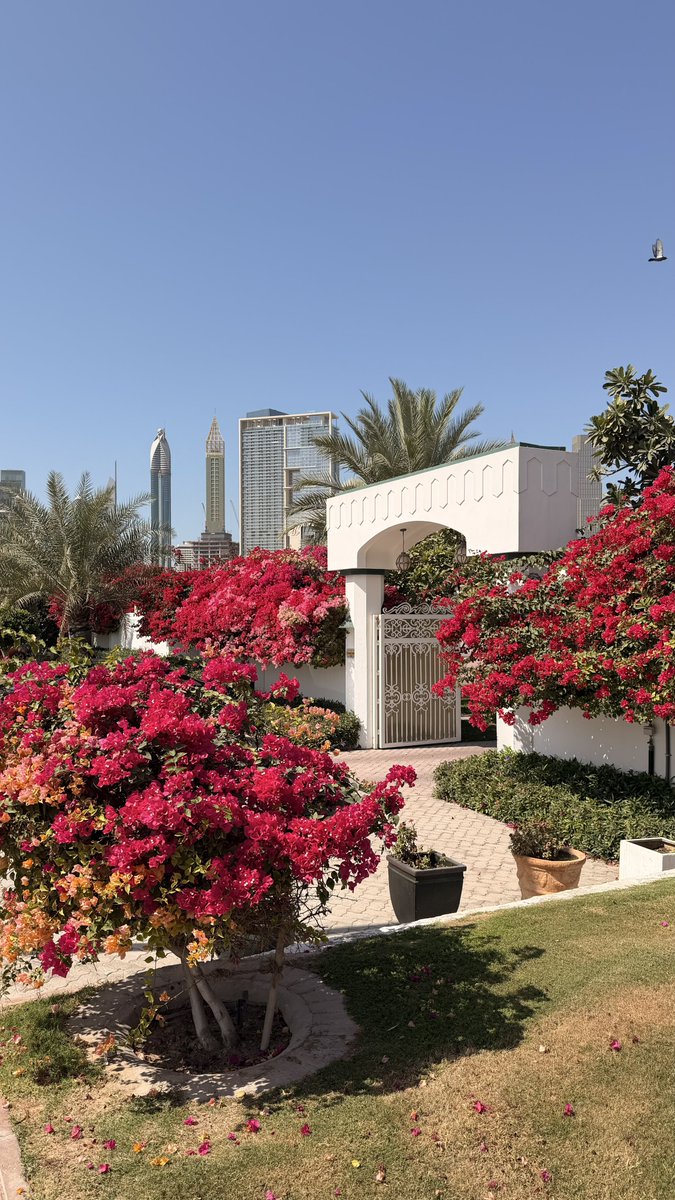 Magomed Kurbaitaev tweet media