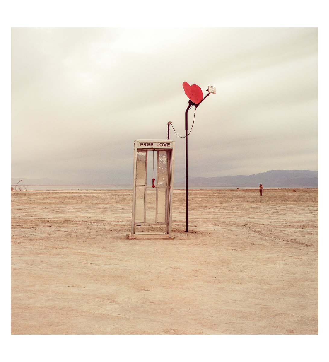 Ash Page tweet media