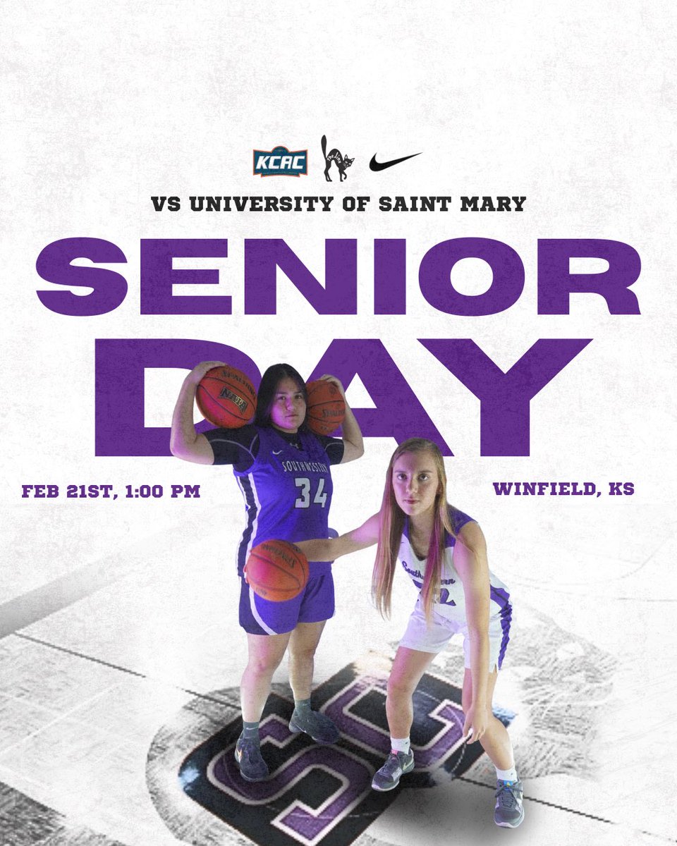 LadyBuilderBasketball tweet media