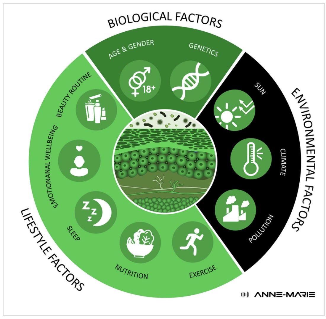 AnneMarie_v_G's tweet image. Next-Gen Photoprotection: From Sun Care to DNA Care guided by #interactome 

#sunscreentips #DNA #genome #epigenome #microbiome #proteome #inflammasome #exposome

anne-marievangeloven.com/blog/next-gene…