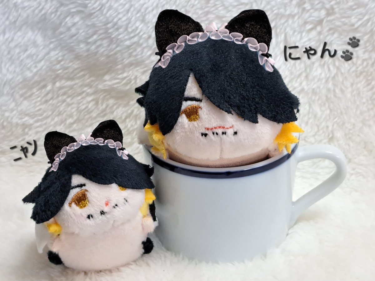 🐱とうにゃんにゃん🐾