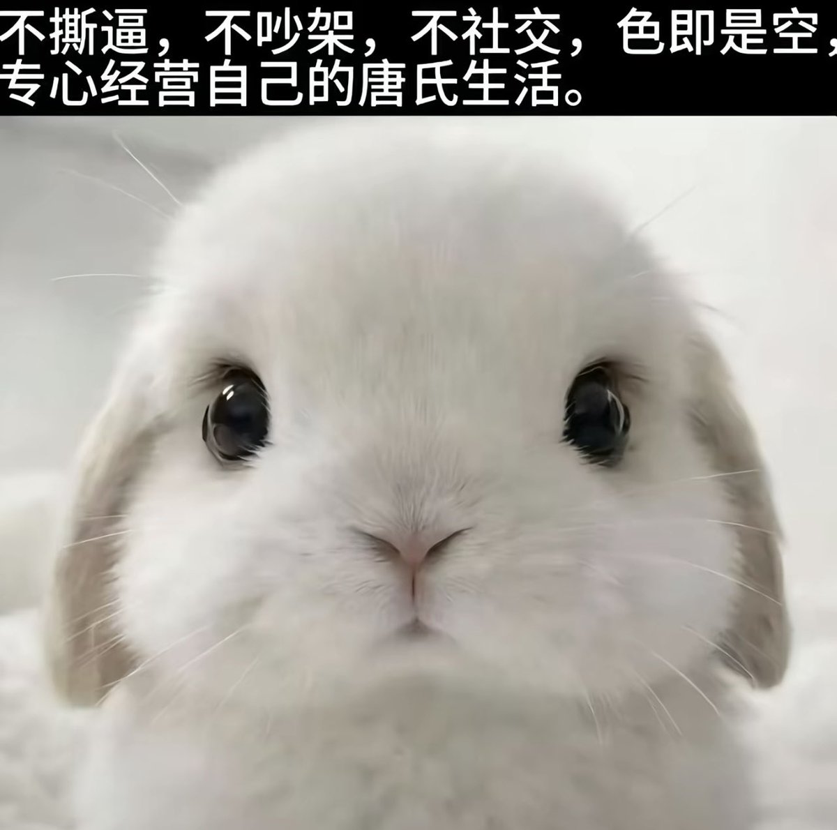 世上最忧郁之人^ tweet media