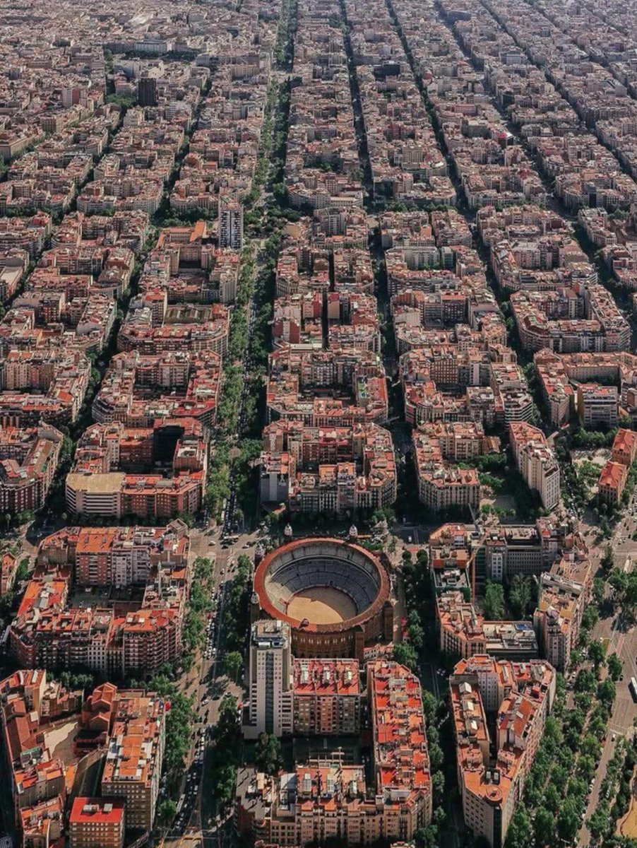 Princ od Motika tweet media