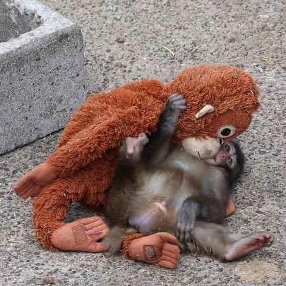 la peor persona que conoces cree que es él