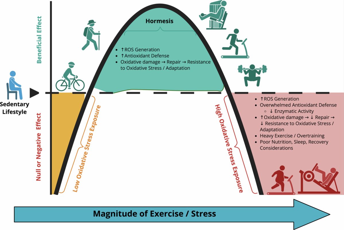 Antonio García-Hermoso tweet media