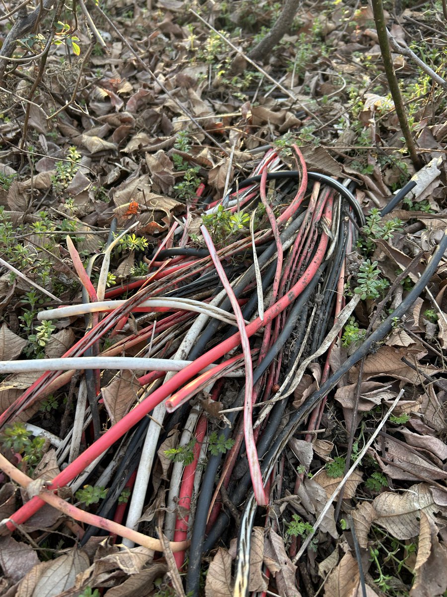 さとっぺ（Epic Enviro Buddiesリーダーの母） (@gogoxap) / Posts / X