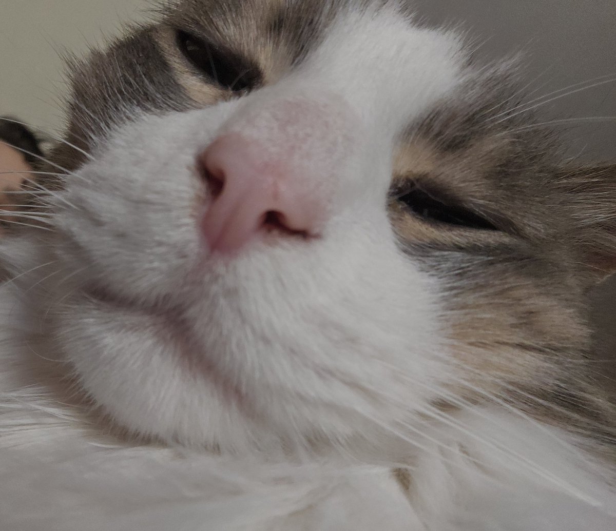 Riku❤️🌸✨️