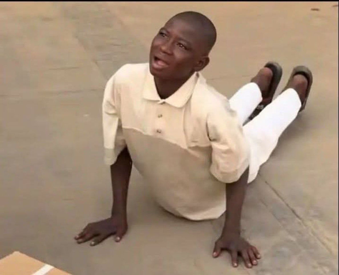 Bernadette tweet media