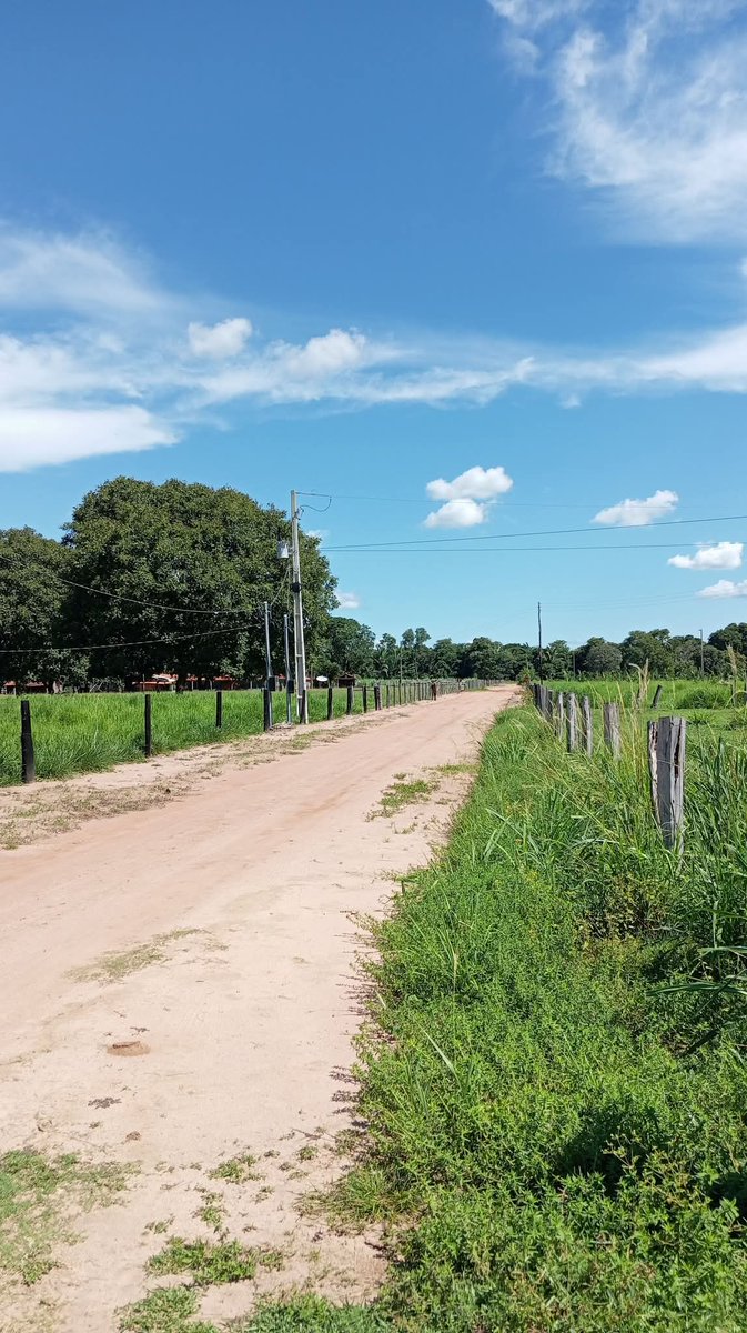 𝕯𝖆𝖛𝖎𝖉 𝕮𝖆𝖗𝖉𝖔𝖘𝖔 ⚽🇧🇷 tweet media