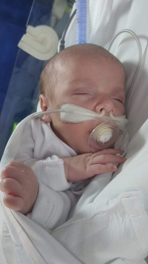 Cacho Cuervo tweet media