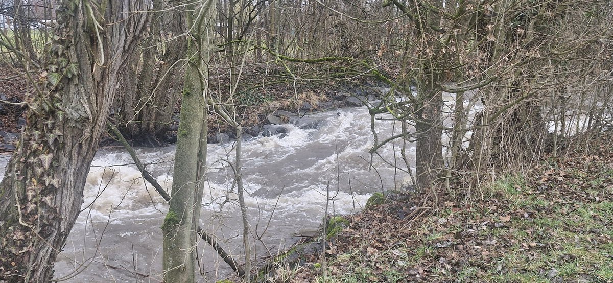 Grüße! 
Bayrischer Untermain, 9 Grad Regen.