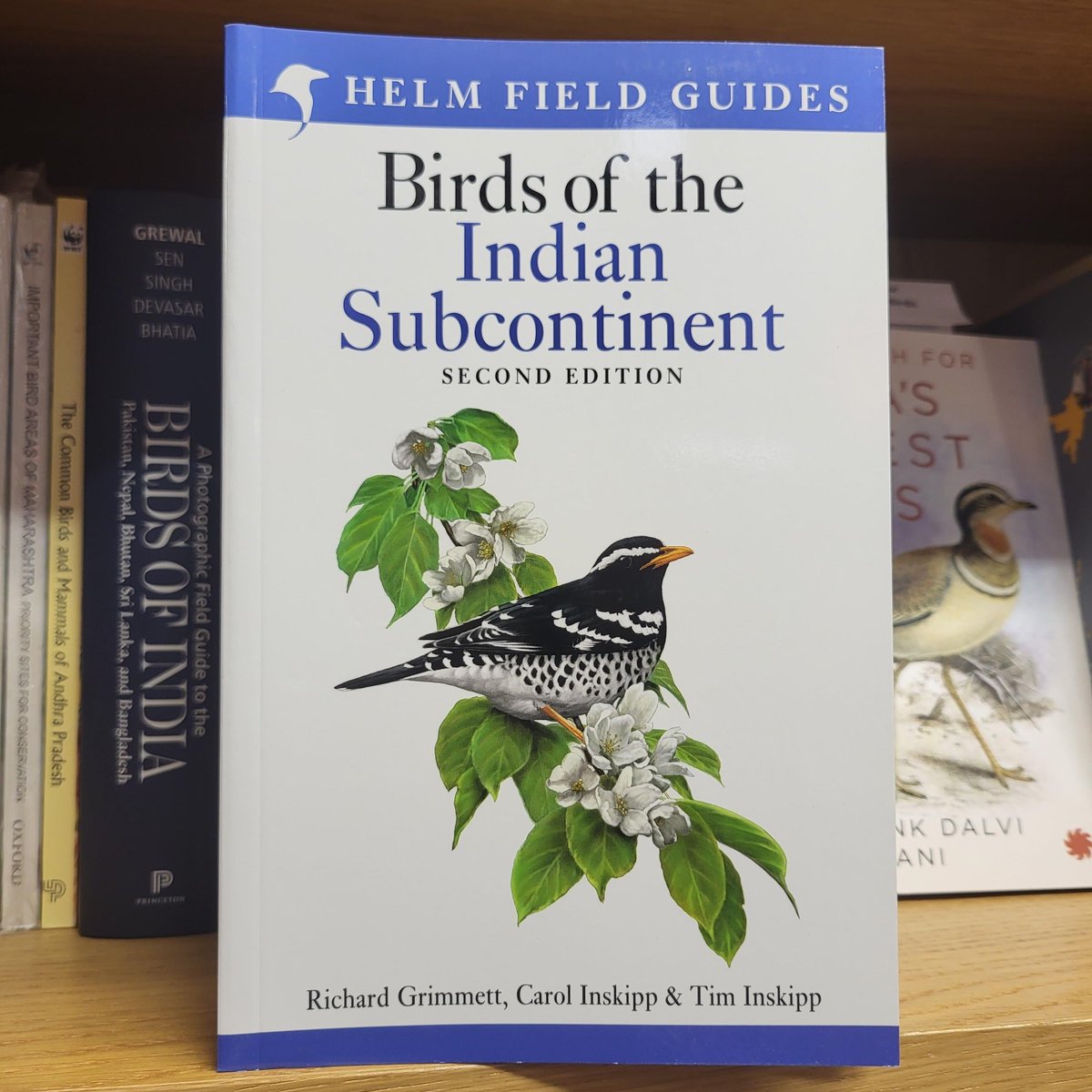 THE BIRDER'S STORE tweet media