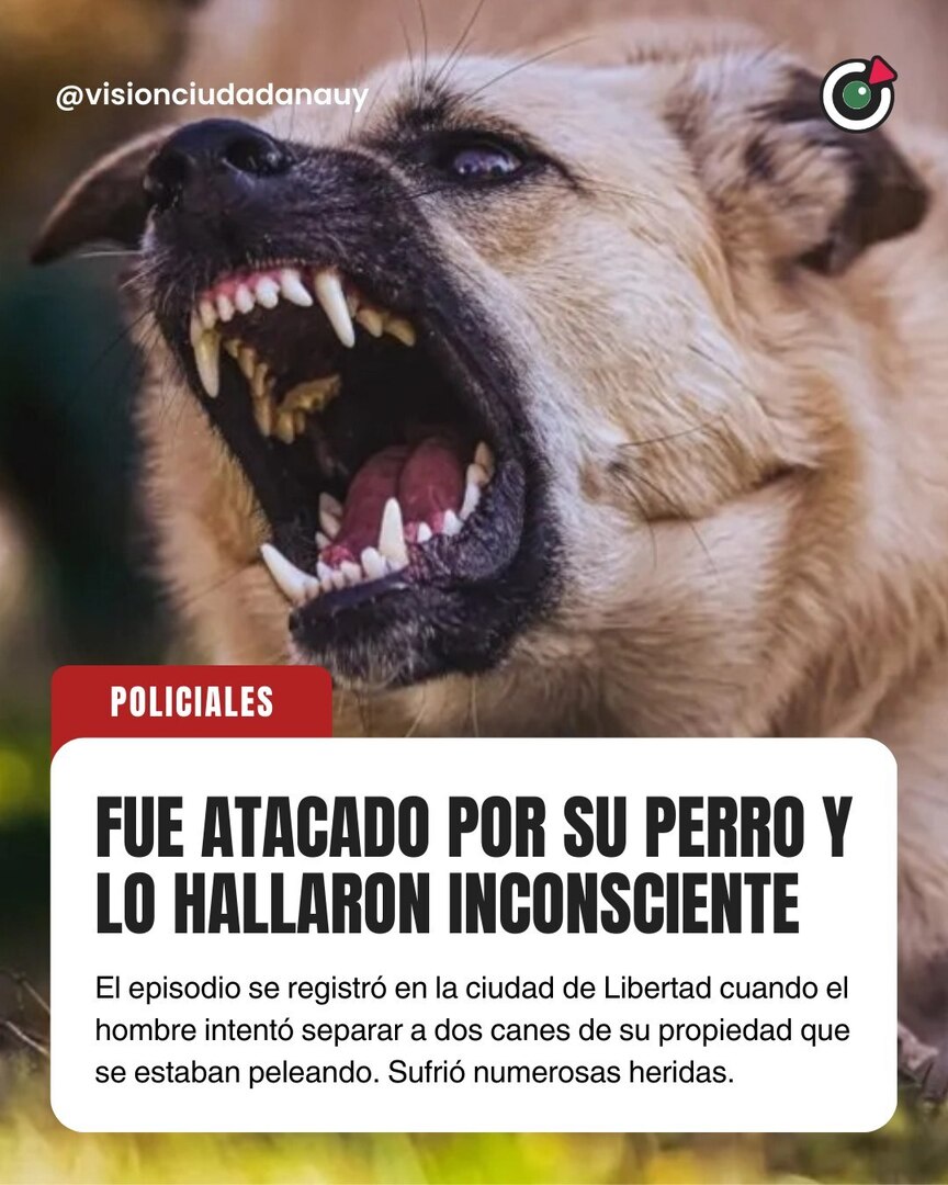 🚔 Un hombre resultó herido tras ser atacado por uno de sus perros en la mañana en la ciudad de Libertad, informó la Jefatura de Policía de San José.

El hecho fue reportado al Centro de Comando Unificado Departamental (CCUD), que recibió una comunicació… instagr.am/p/DVBoM_vEovP/
