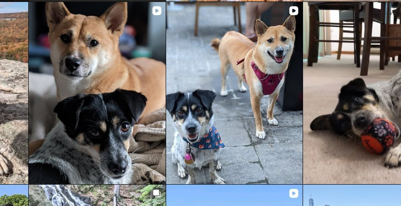 #CALLIE
0x5b991b13534cbd3c4b6f1c4948faa1977790f73f
 也是 #KIMCHI 的朋友
DYOR