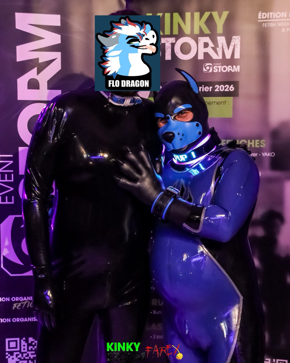 Pup Marcelo tweet media