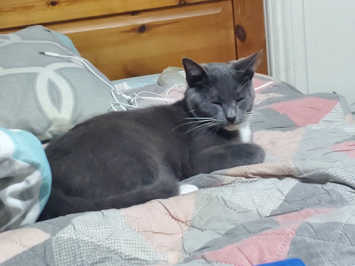 Dismarsh tweet media