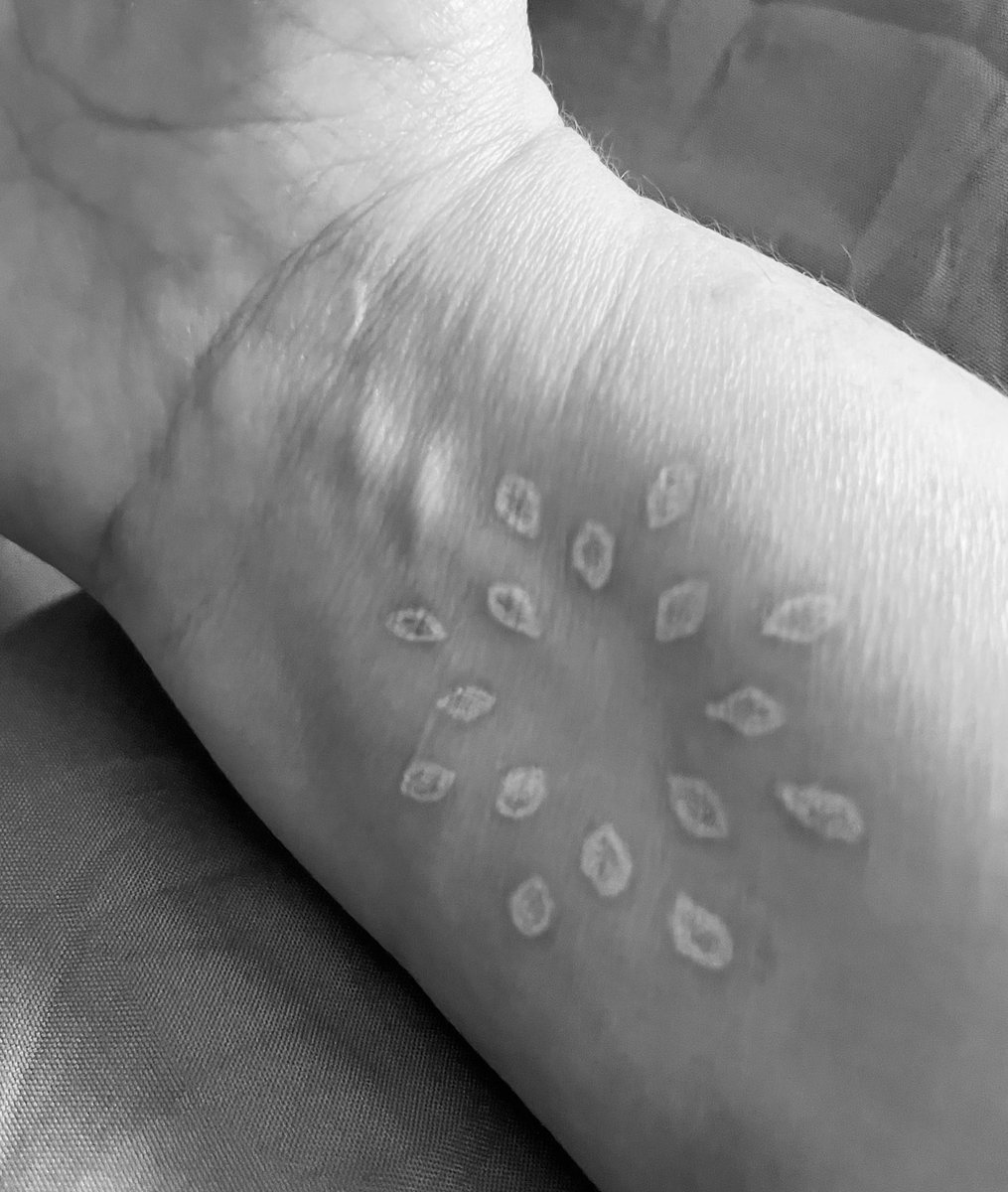 Shawn Finch tweet media