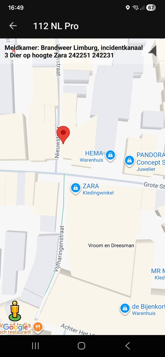 Dier op hoogte in Maastricht