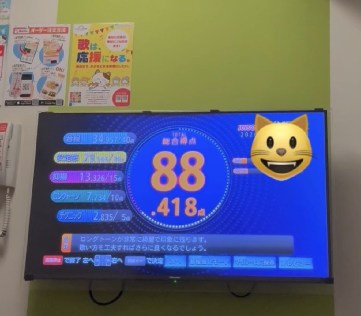 猫の日 なので、にゃだそうそうしてみたの巻‥ なかなかうまくいかにゃ