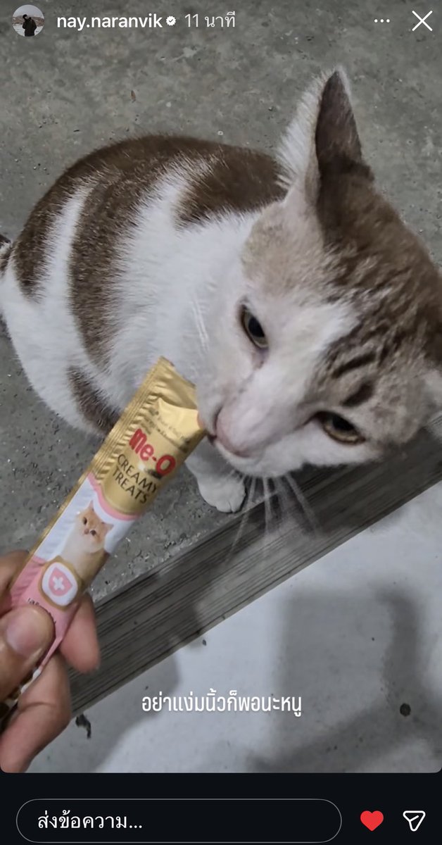 breadnny's tweet image. 🤎 : อย่าแง่มนิ้วก็พอนะหนู 

***แมวไม่น่าแง่มนิ้วพวกเดวกันนะ พี่เน 5252525252552

˚ ༘♡ ⋆ #NAY_PERSES  ≽^•⩊•^≼

#PERSES_TH #PERSES