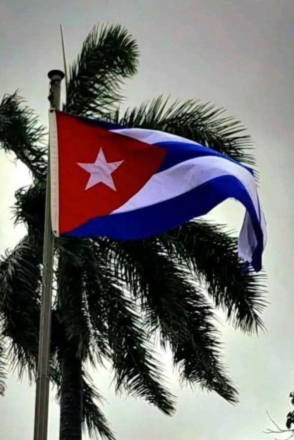 24 de febrero: fecha de gloria para Cuba.
1895: Se inicia la Guerra Necesaria por la independencia, organizada por José Martí.
1958: El Che Guevara funda Radio Rebelde. 
Desde Artemisa, honramos a quienes forjaron nuestra soberanía.
#CubaSoberana #ArtemisaJuntosSomosMás