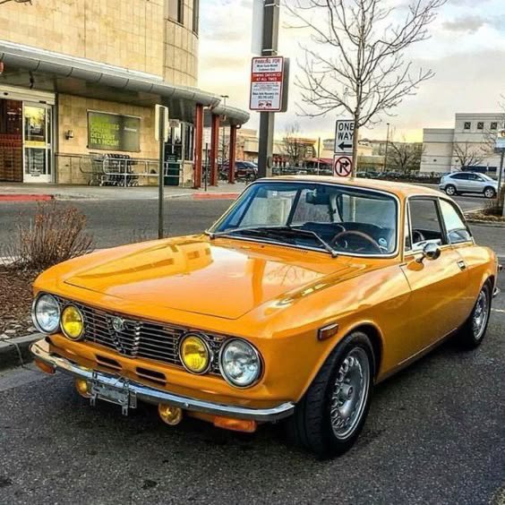 🇬🇧 Fast & Ferocious (@fafbulldog) on Twitter photo 
