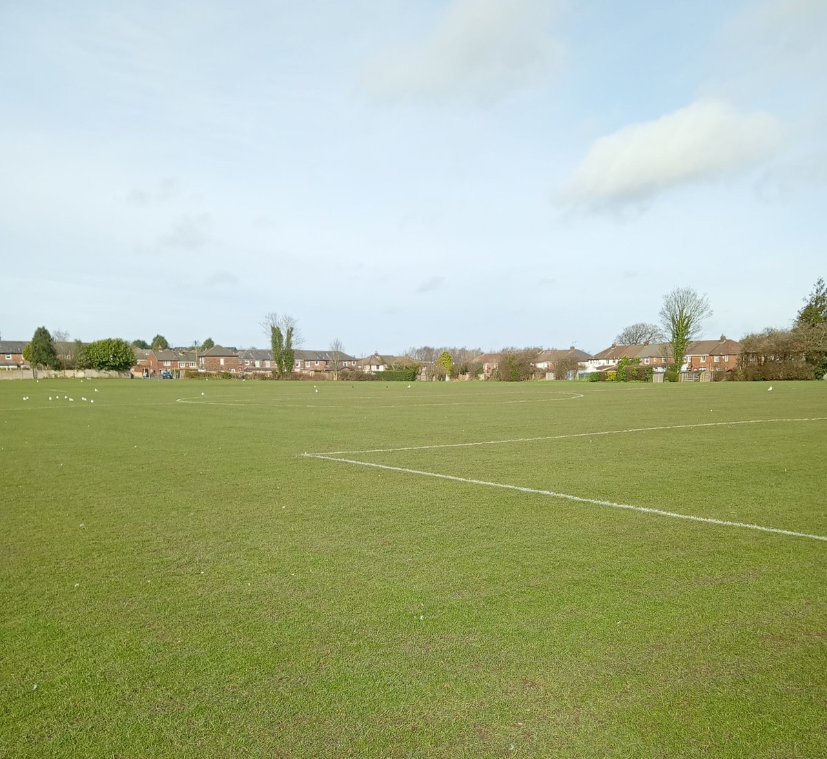 Rainhill tweet media