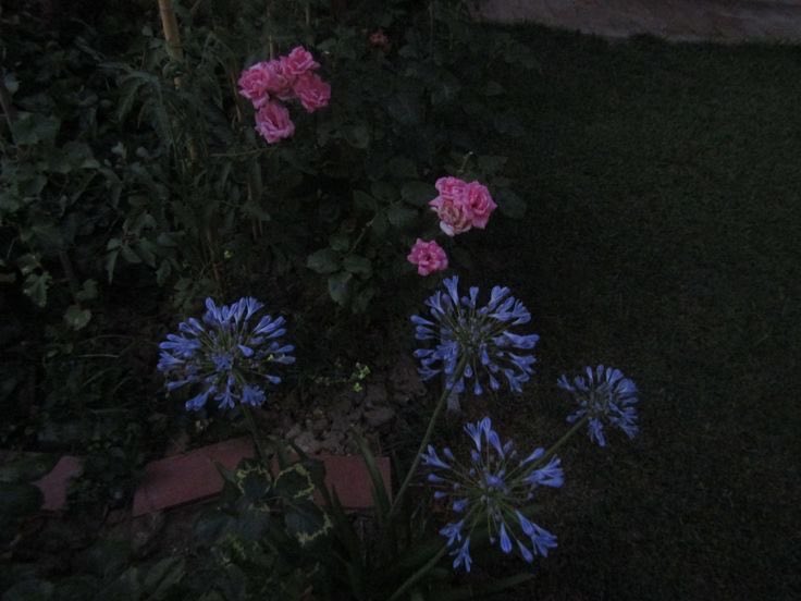 ✮⋆˙ (@dmugg7) on Twitter photo 