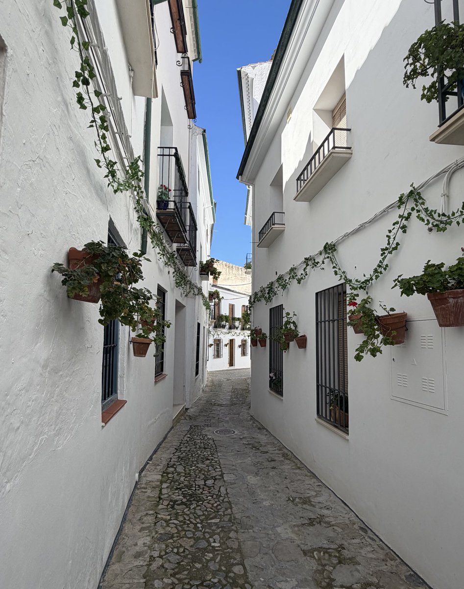 Mañanas en el pueblo.