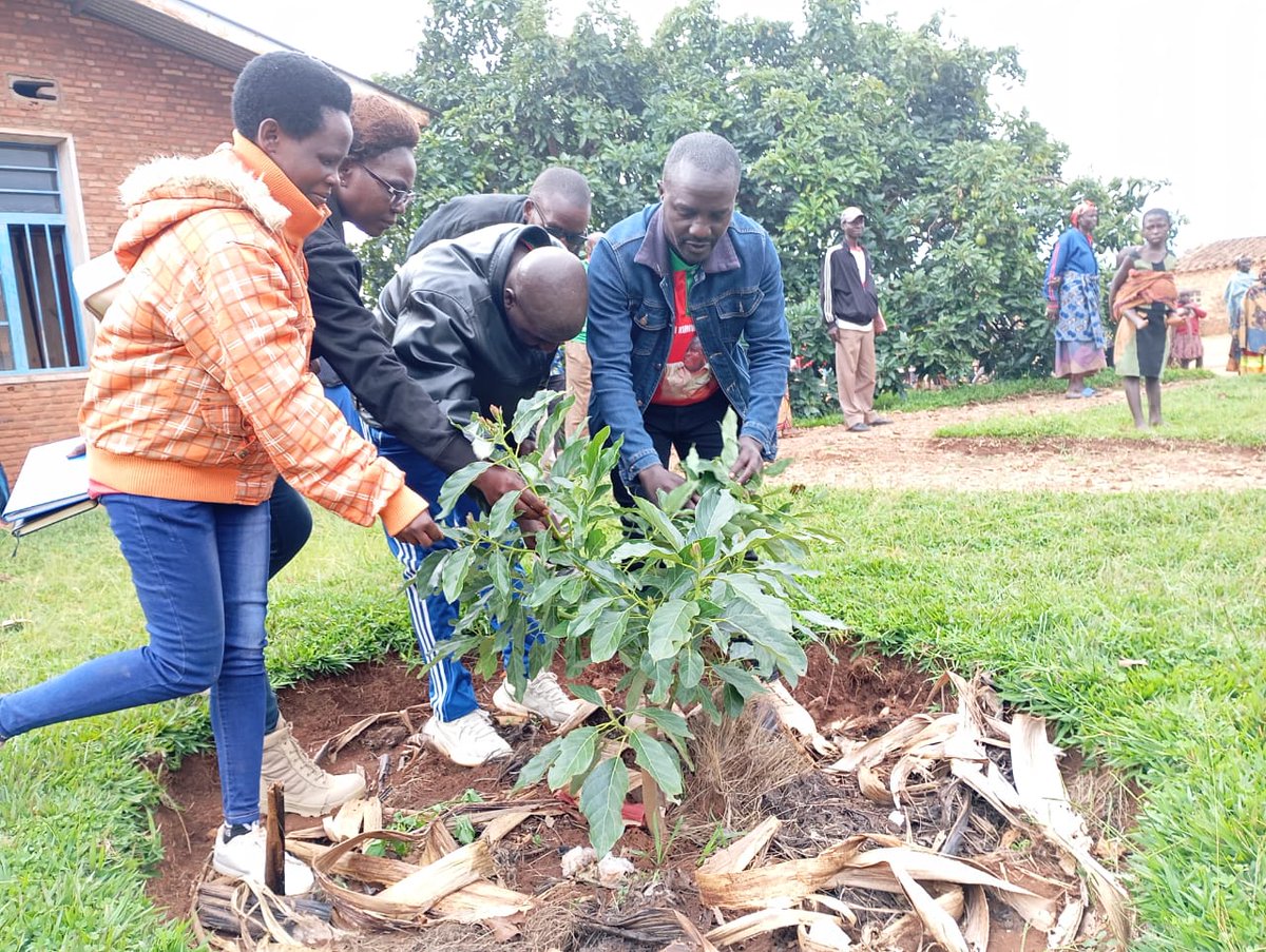 LandreNINI74617's tweet image. Komine #Matongo ivoka ya #Ruhere