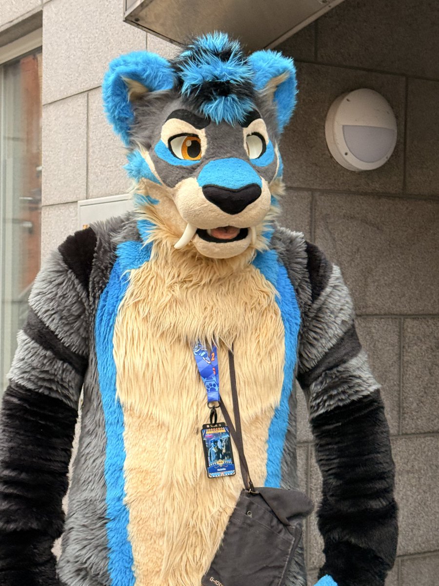 Kyoto Fox tweet media