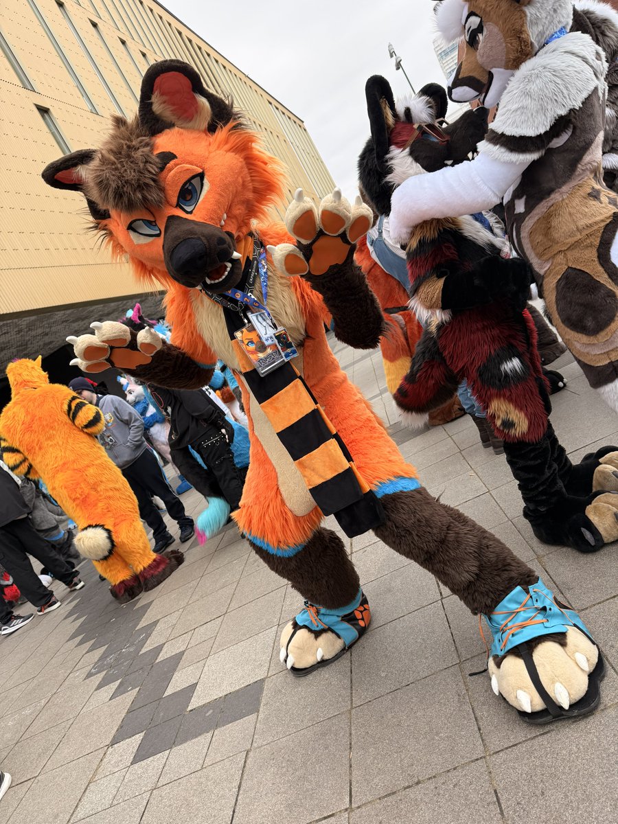 Kyoto Fox tweet media